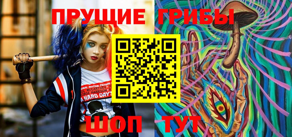 Галлюциногенные грибы Psilocybine cubensis Санкт-Петербург