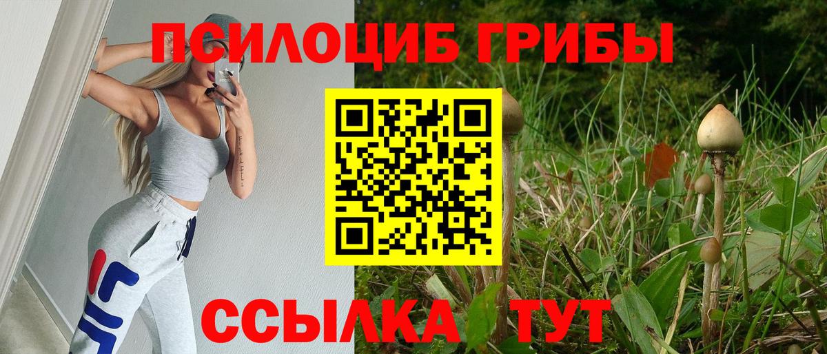 Псилоцибиновые грибы мицелий  Вход с VPN  Санкт-Петербург  Псилоцибиновые грибы Psilocybe 